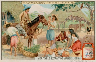 Rancheros y vaqueros mexicanos de European School